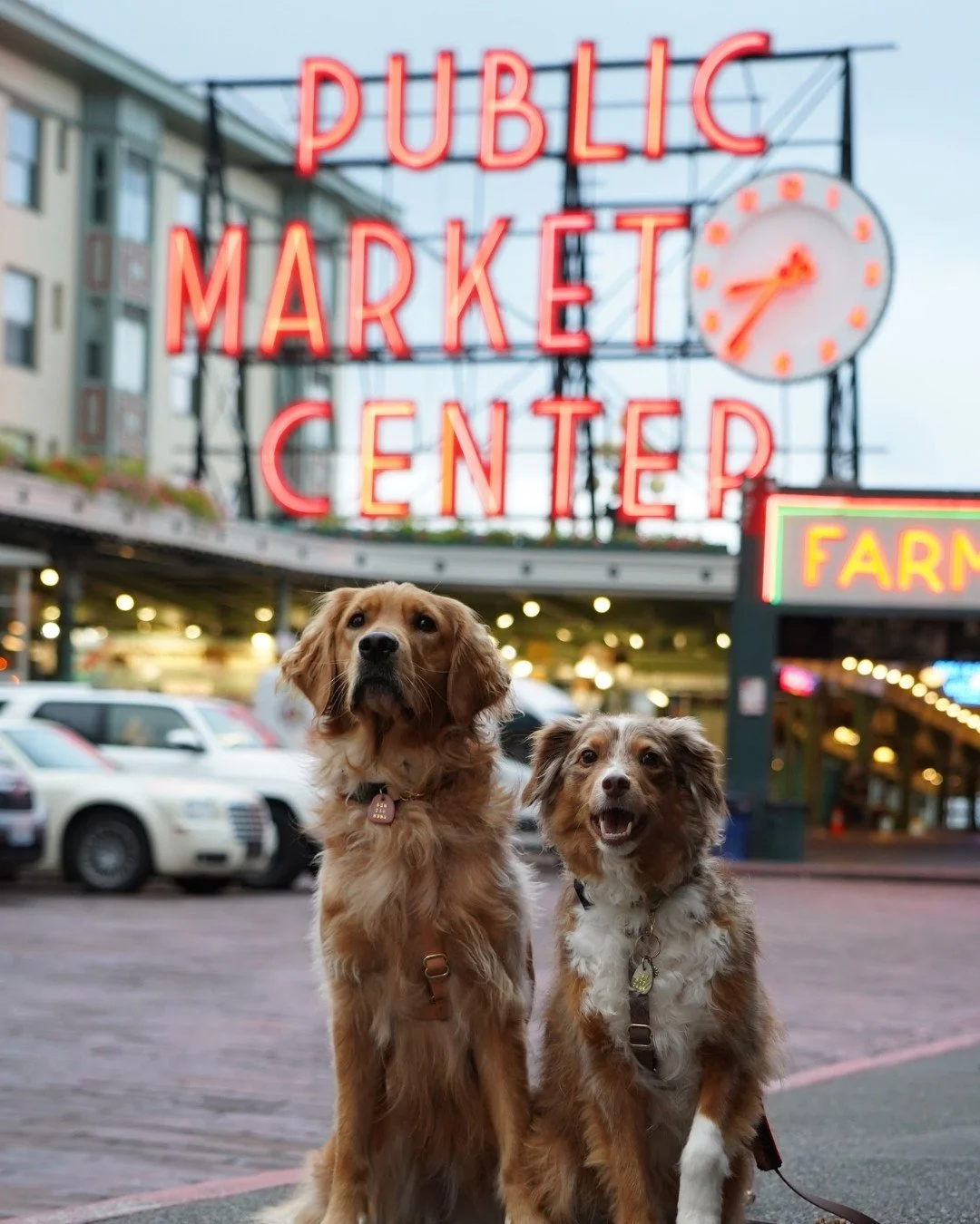 Pike Place Market is pretty easy to get to when you're staying at a Seattle Staypineapple. 🍍

📍 Hotel FIVE: 15-minute walk

📍 The Maxwell Hotel: 10-minute walk to the monorail + 8-minute walk from Westlake Station

📍 University Inn: 10-minute wal