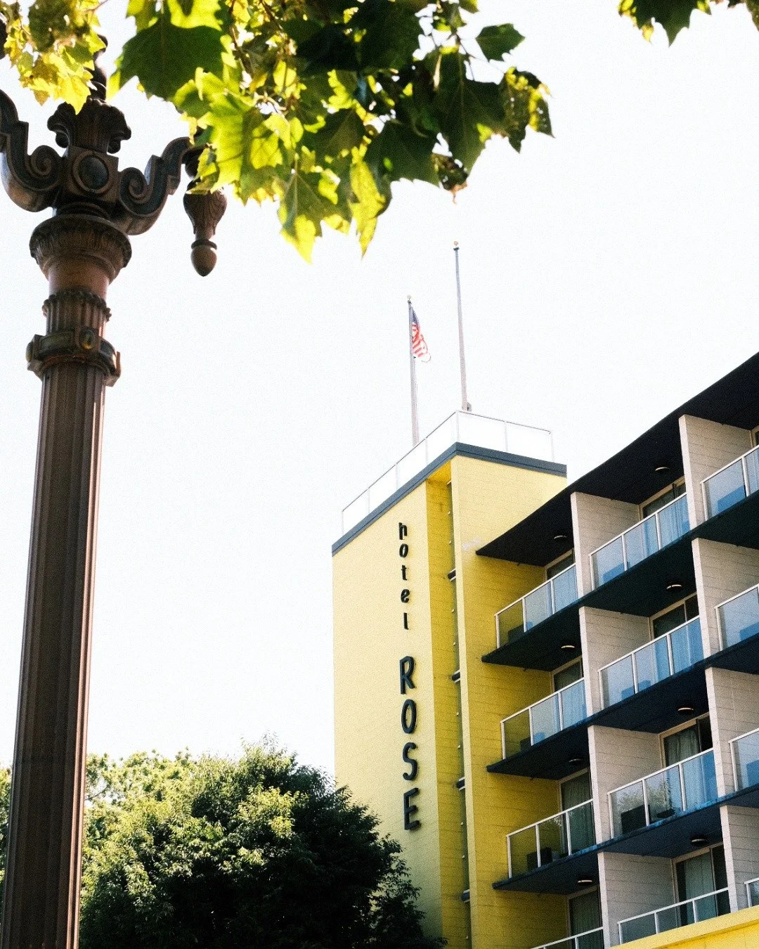 Portland is blooming, and Hotel Rose is right in the middle of it. 🌹

The Portland Rose Festival brings CityFair, parades, fireworks, waterfront fun, and more to the city! Make Hotel Rose your festival home base and book your stay at the link in bio