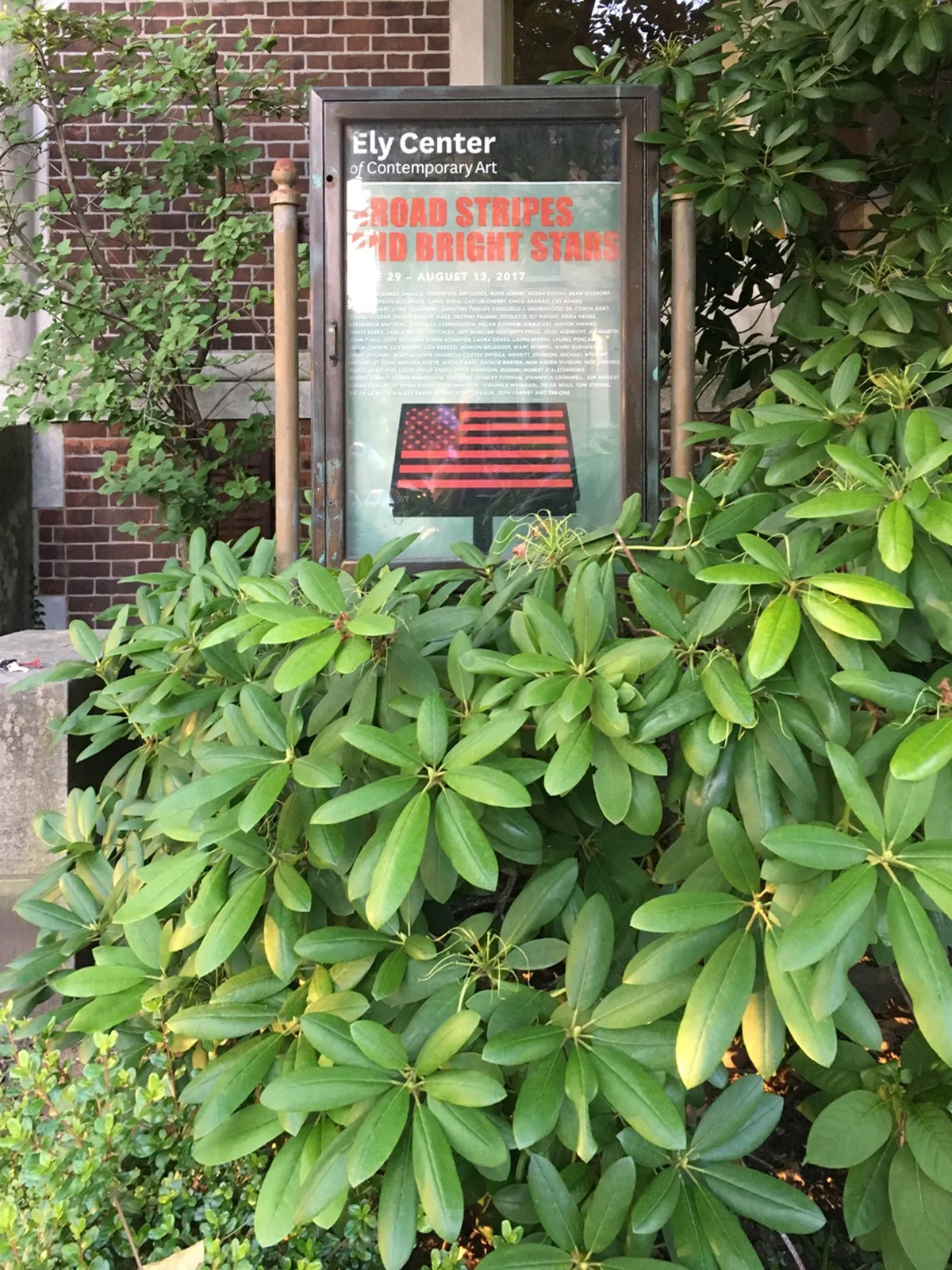 520386116.jpg