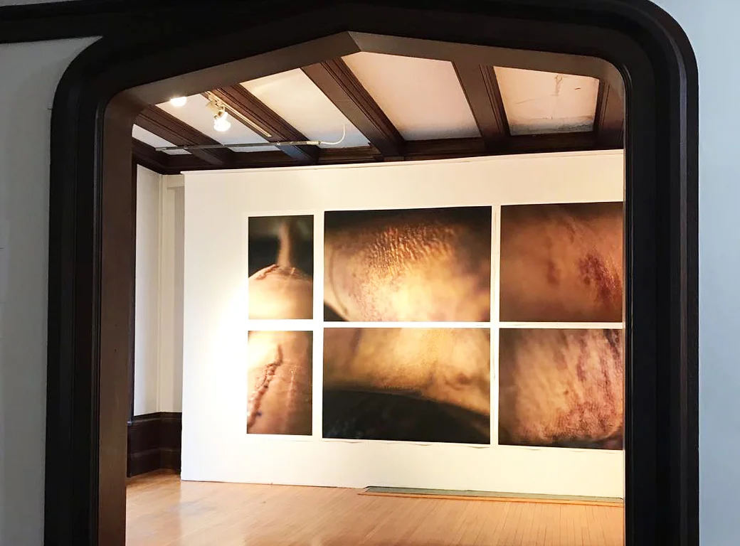 Joan Fitzsimmons installation
