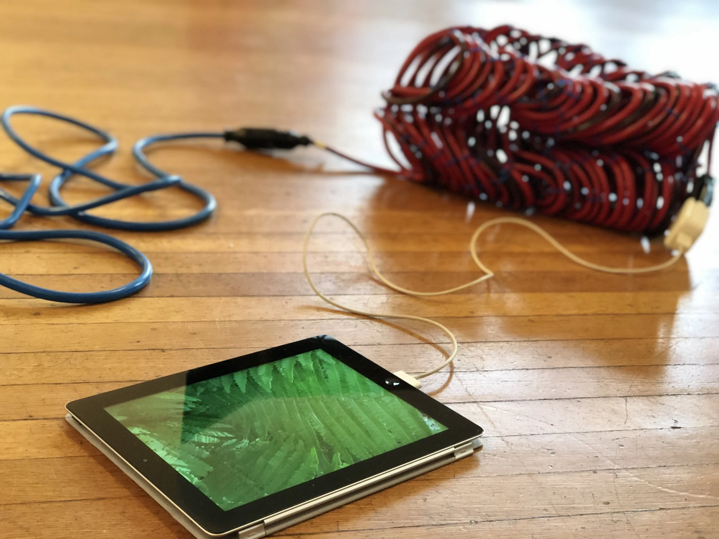 Artist Walk &amp; Talks