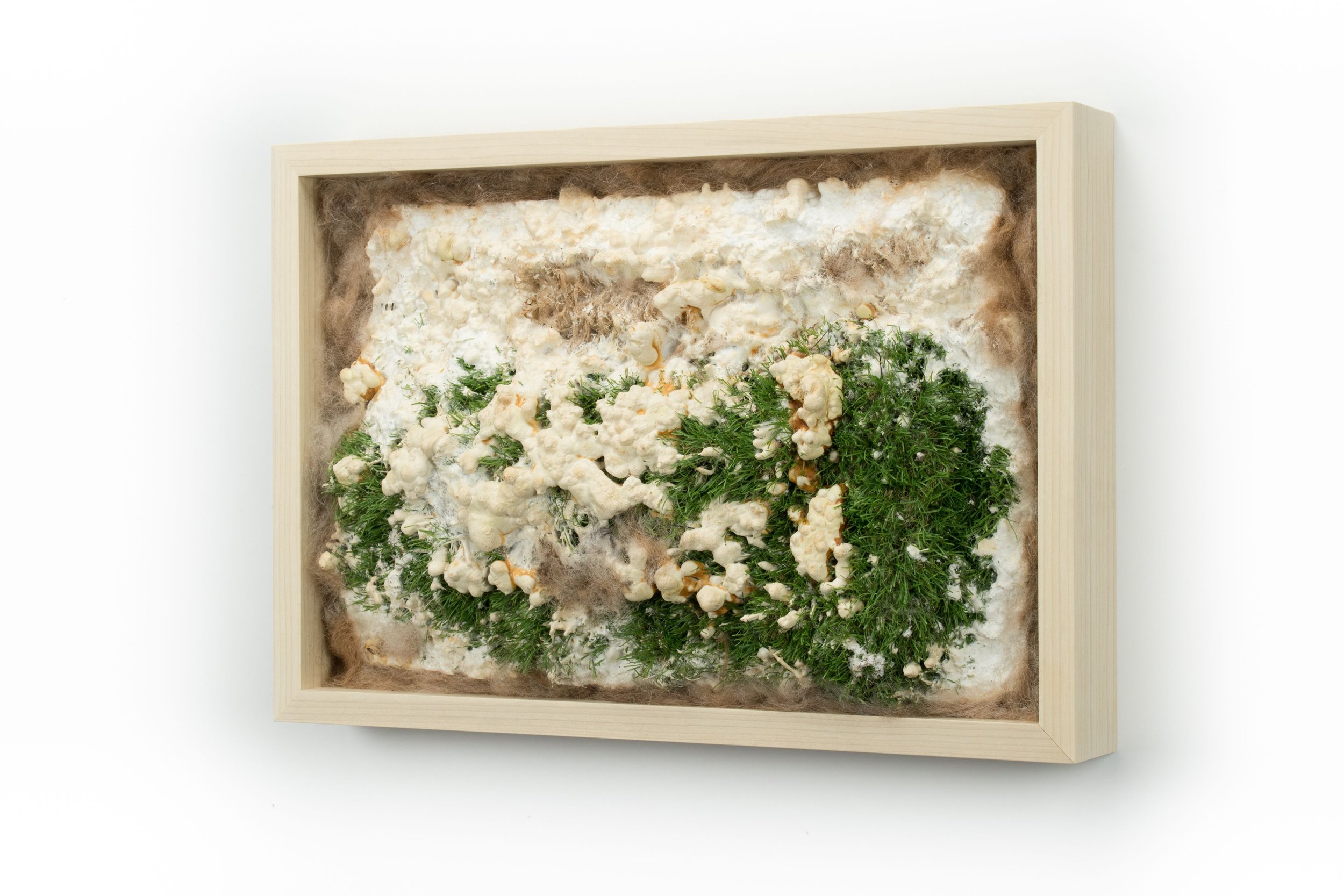 January Exhibitions Closing Reception