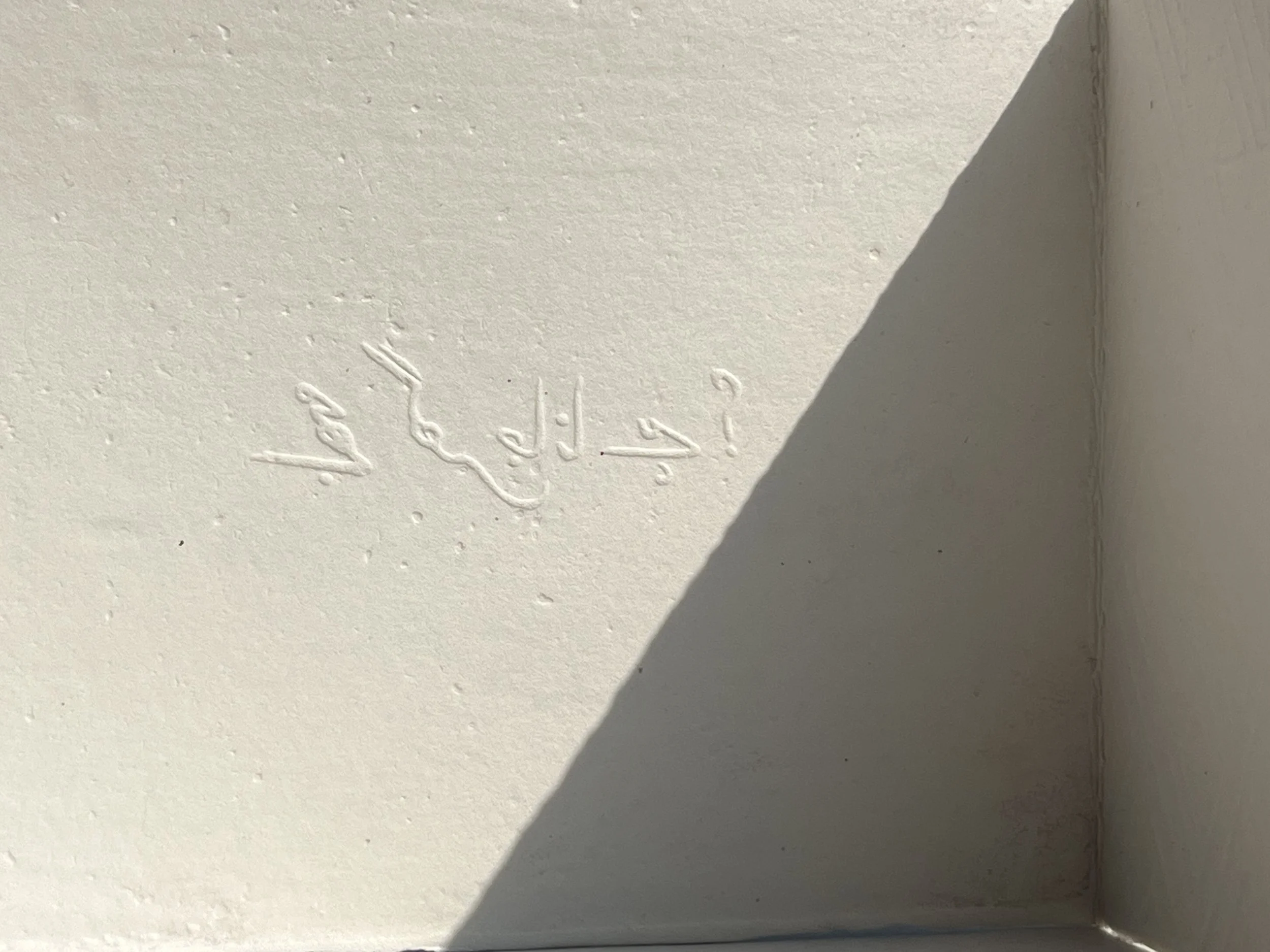 Hafsa_Nouman_4.JPG