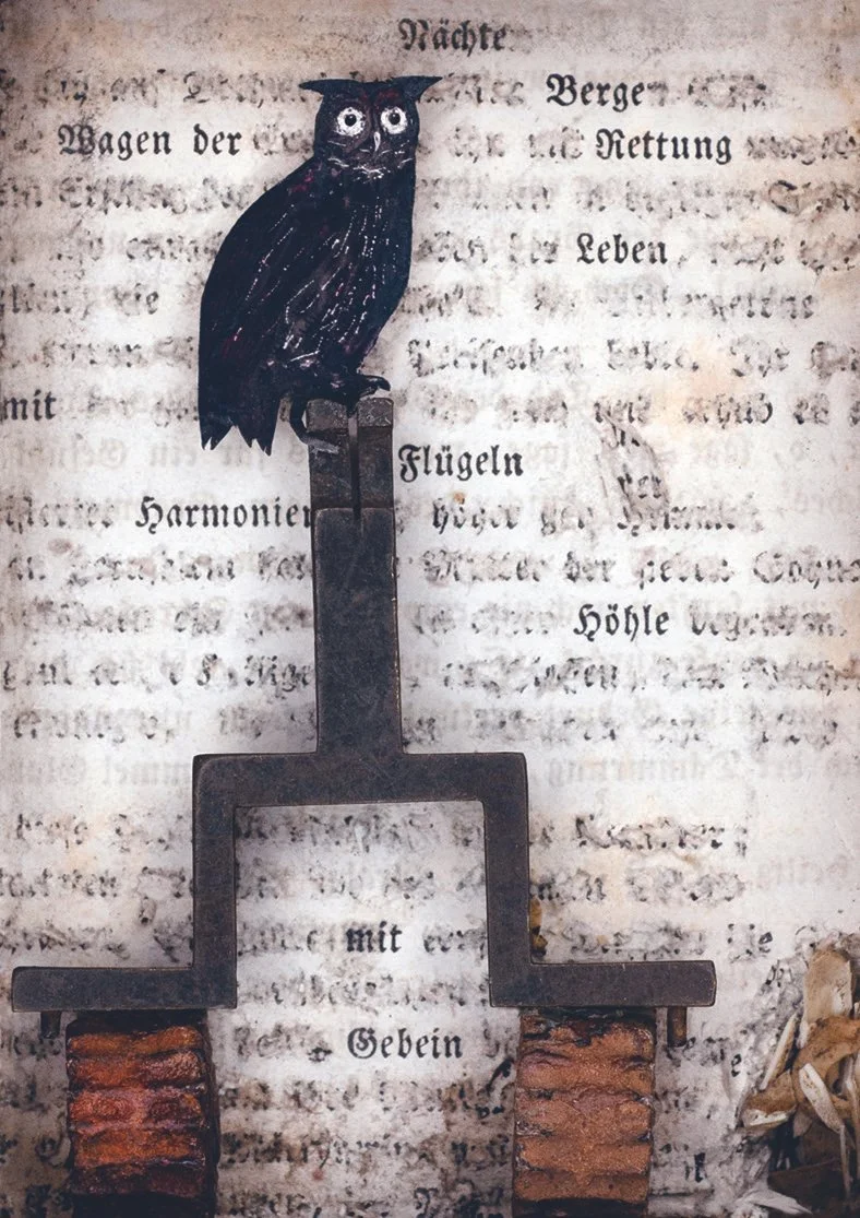 Hatry_Heide_4 Schatten.jpeg
