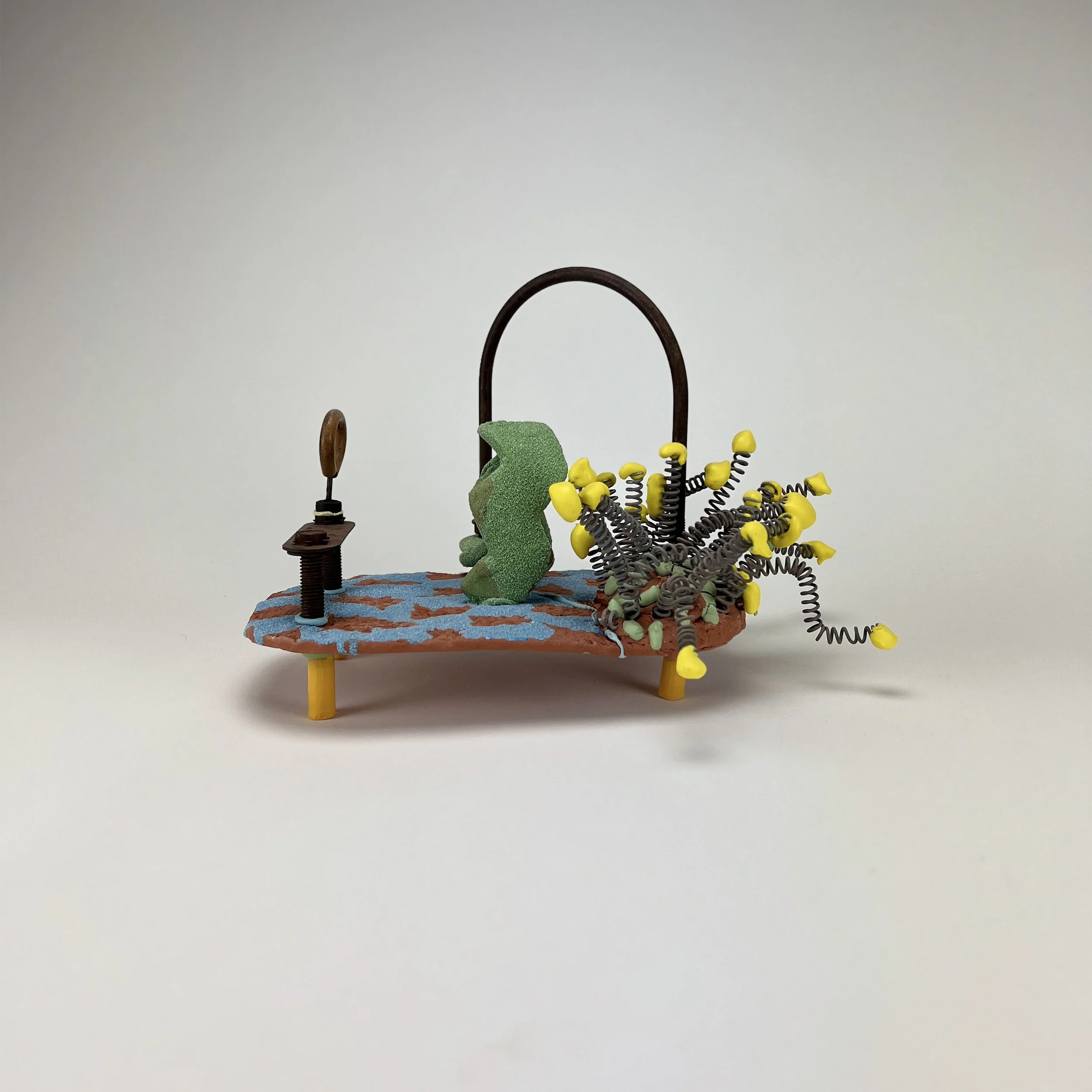 Morrison-David_Micro-landscape.jpeg