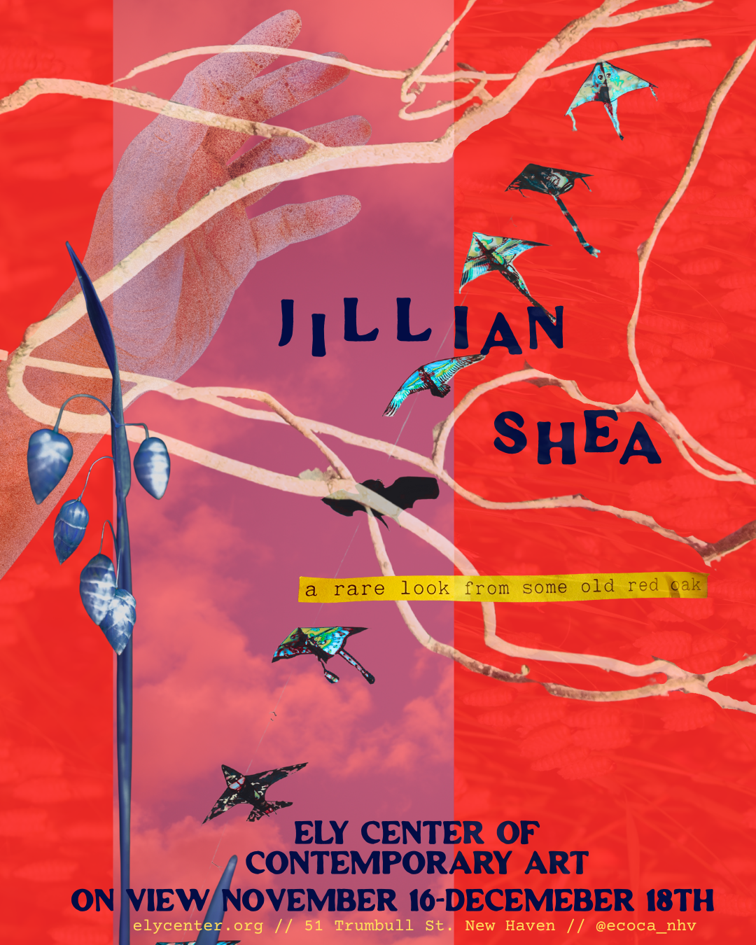 A Rare Look from Some Old Red Oak: Jillian Shea