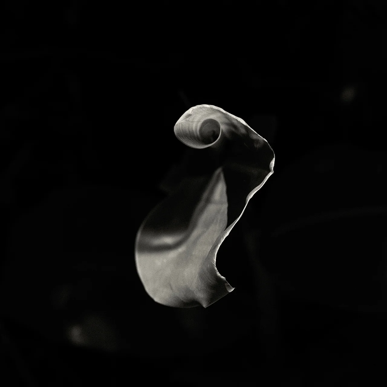 Unfurl