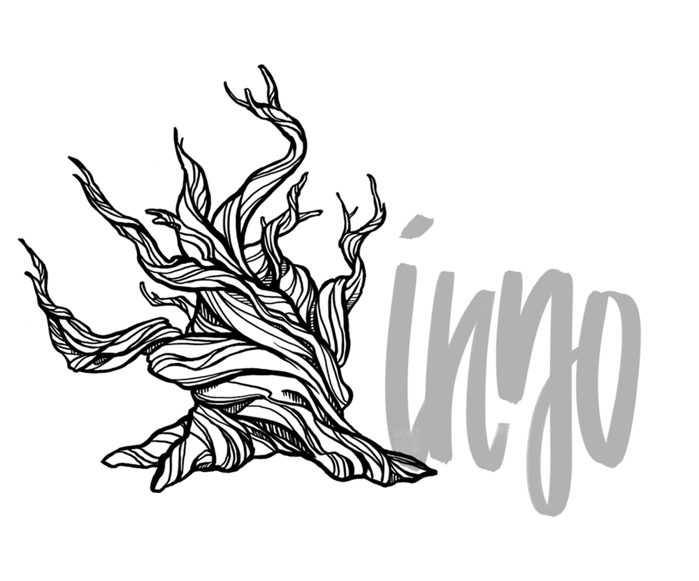 Bristlecone pine illustration with hand lettering