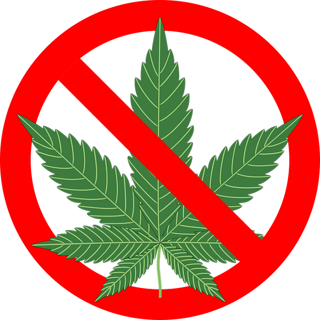cannabis-1254745_640.png