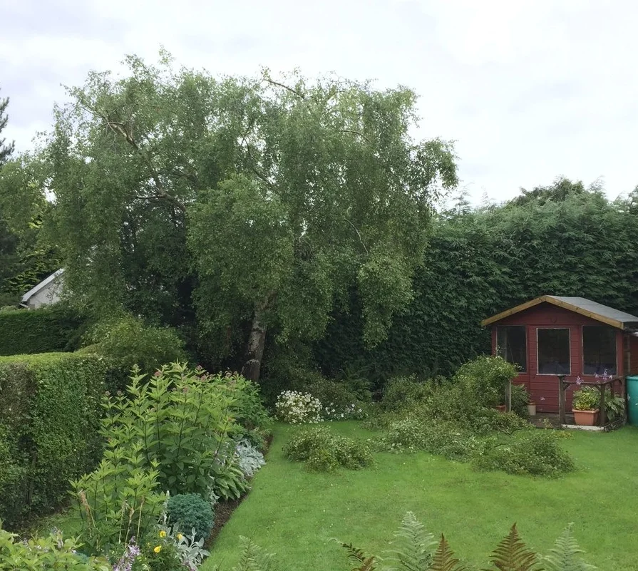 Hest Bank, Birch reduction