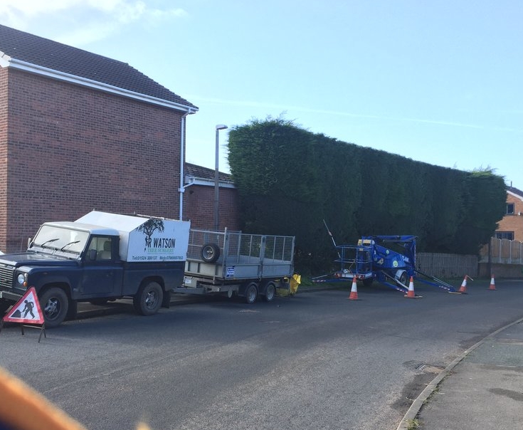 Leylandii hedge cutting, Lancaster 