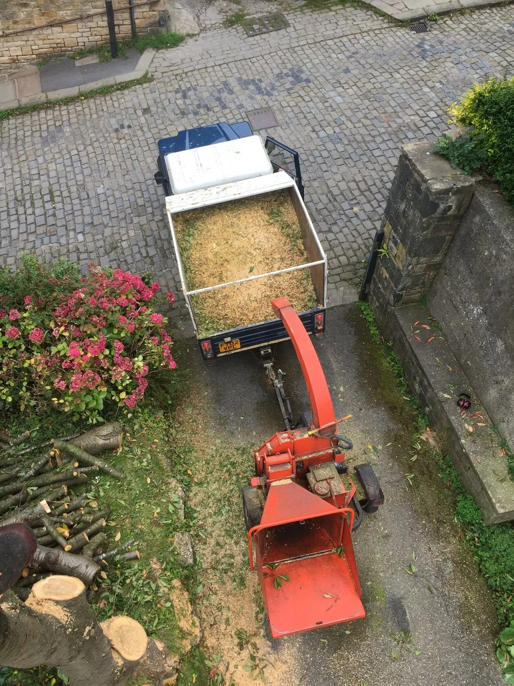 Cherry Tree Removal, Lancaster