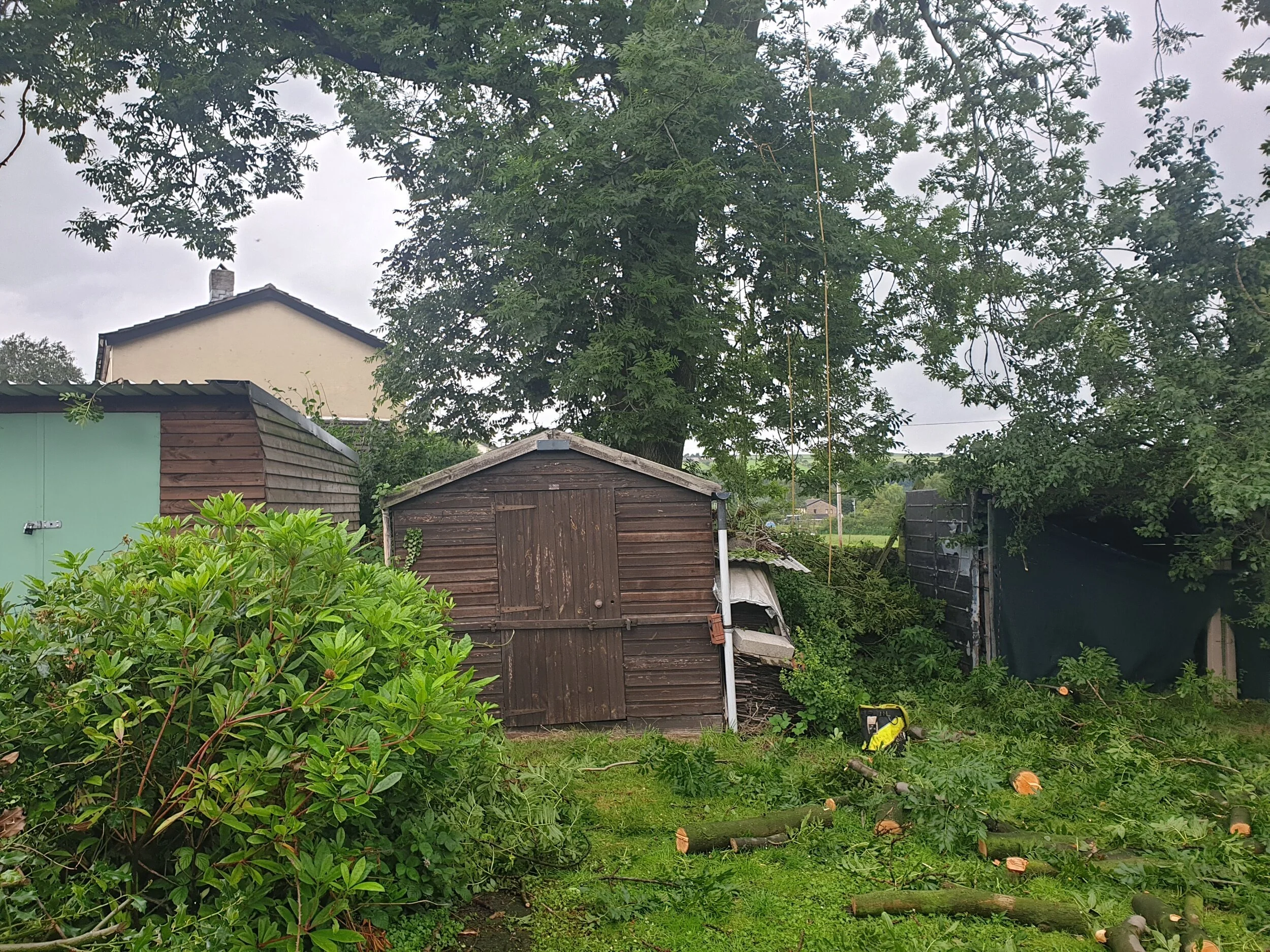 We were very careful removing material above multiple sheds and greenhouses.