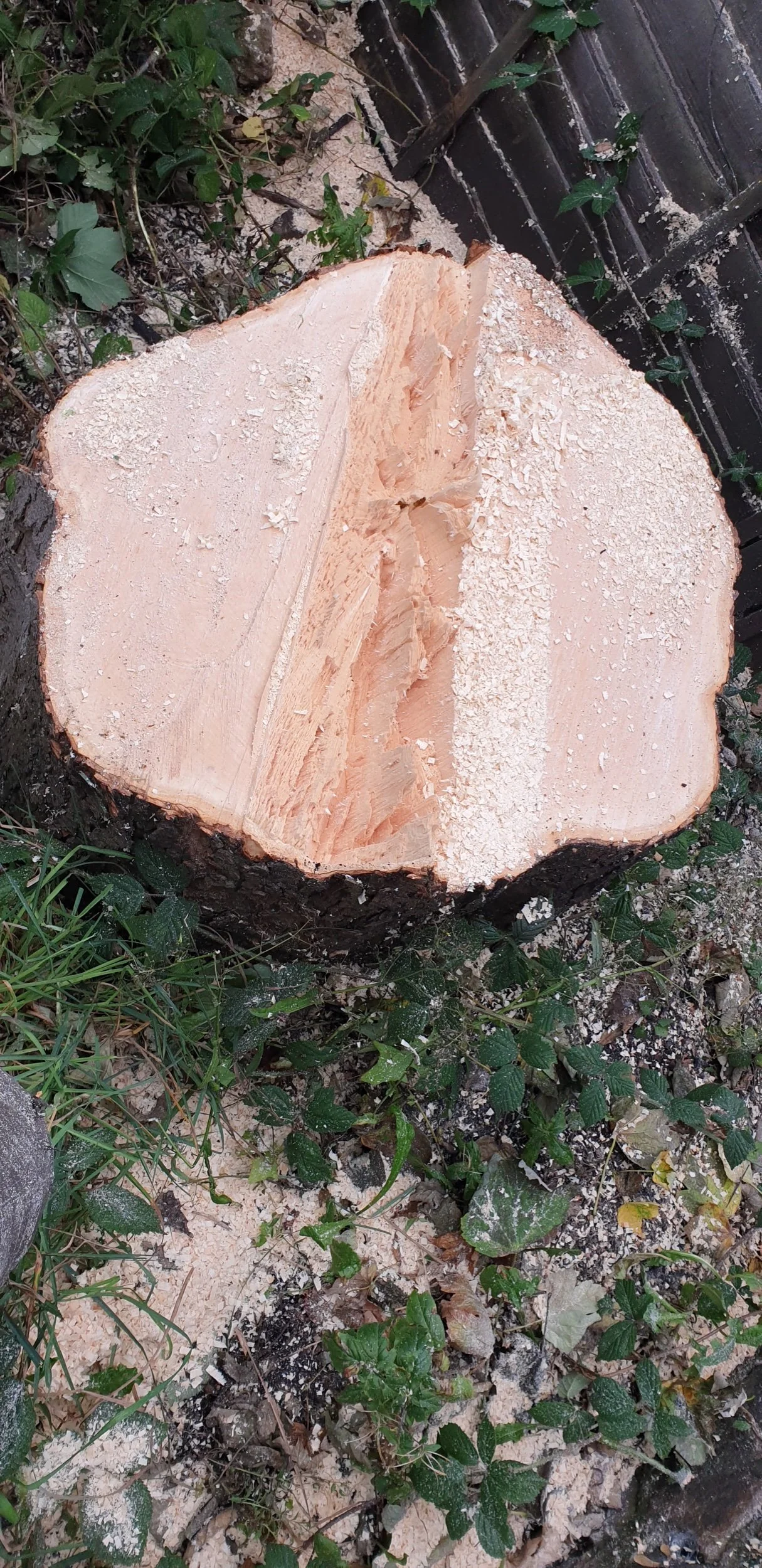 Sycamore Fell, ST Thomas's Church, Lancaster