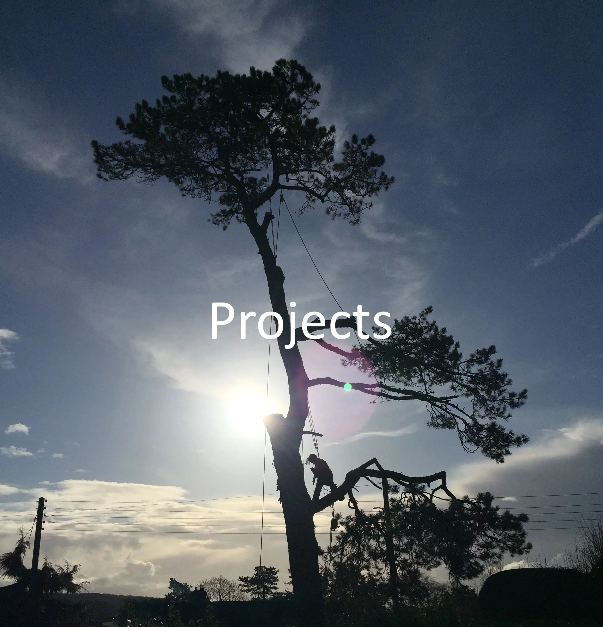 Projects photo final.jpg
