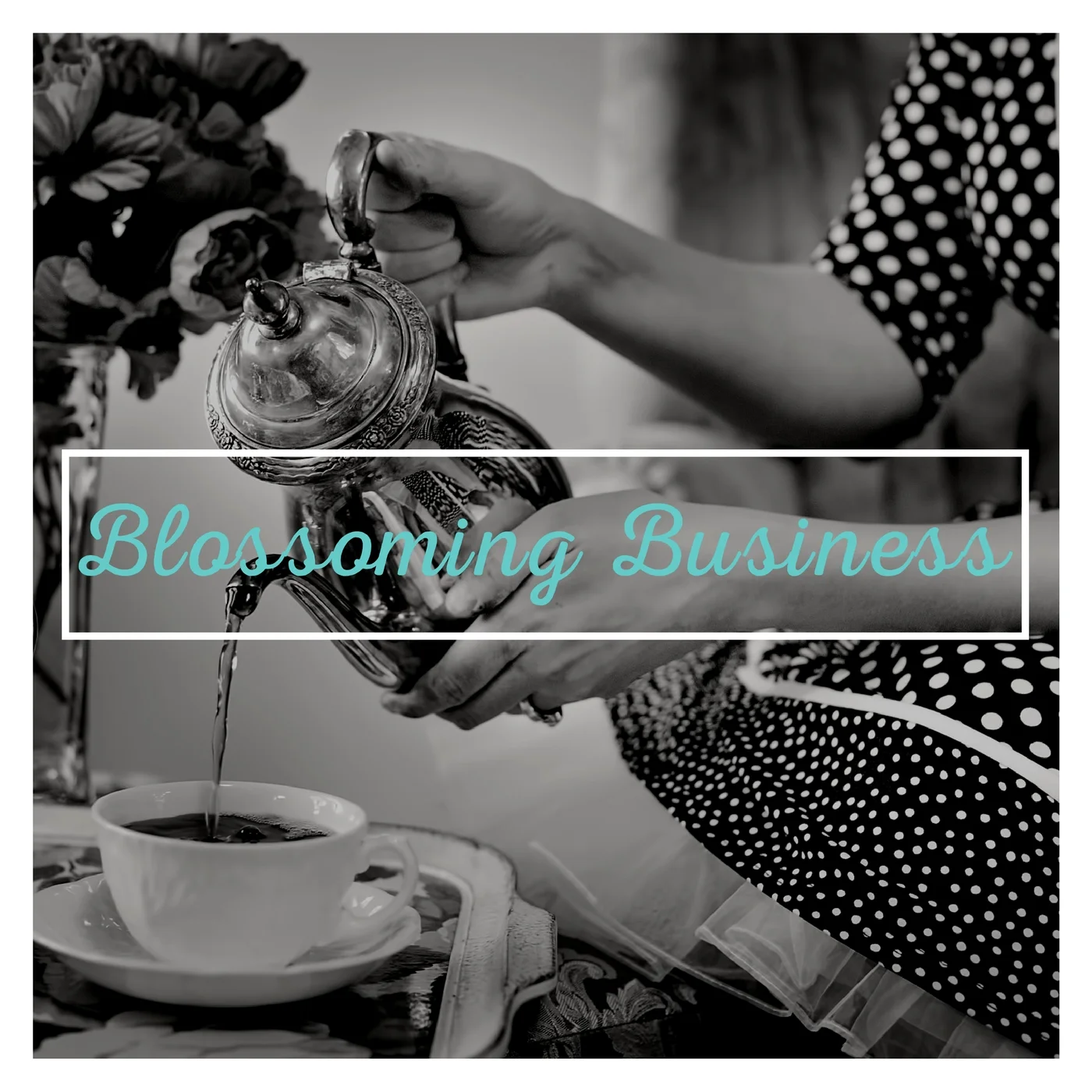 squarespace-websites-new-zealand.jpg