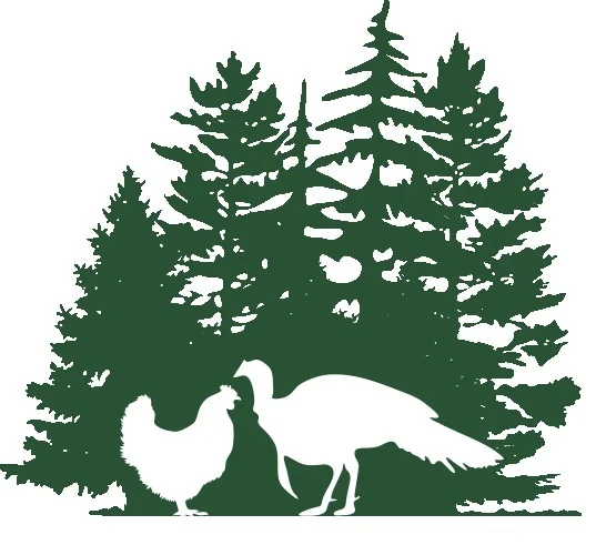 Pine-Tree-Poultry-Logo.jpg