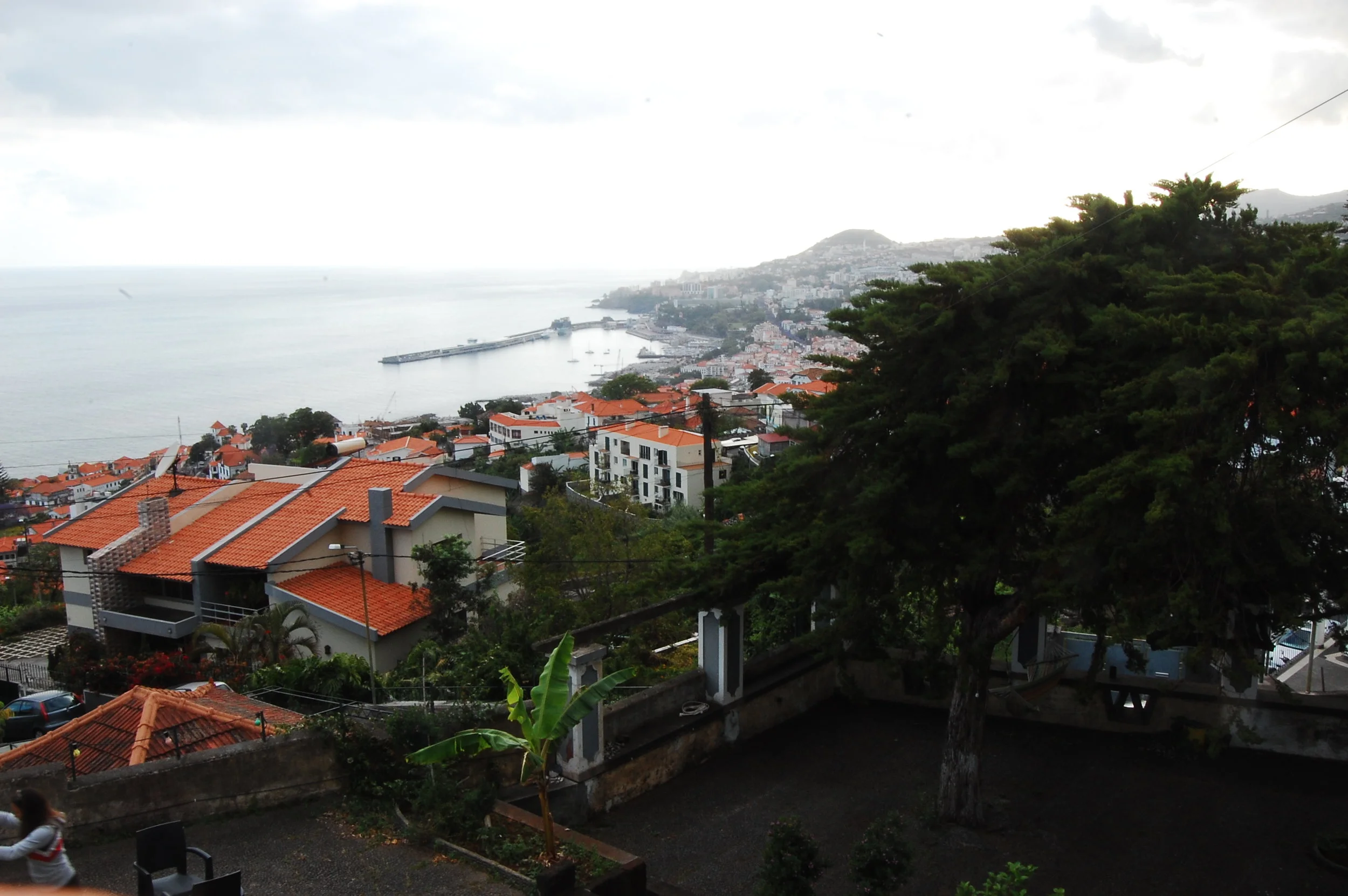 DSC_0391.JPG