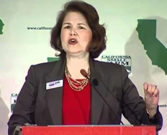 Will Hurd’s Latest Challenger