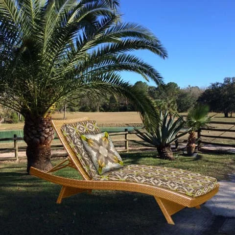 Chaise at La finca palms.jpg