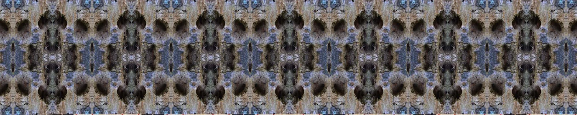 Blue long banner.jpg