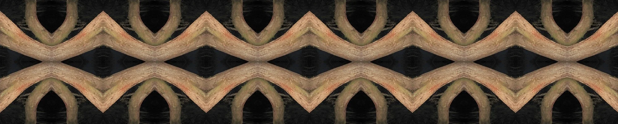 Primitive Banner dark 1.jpg