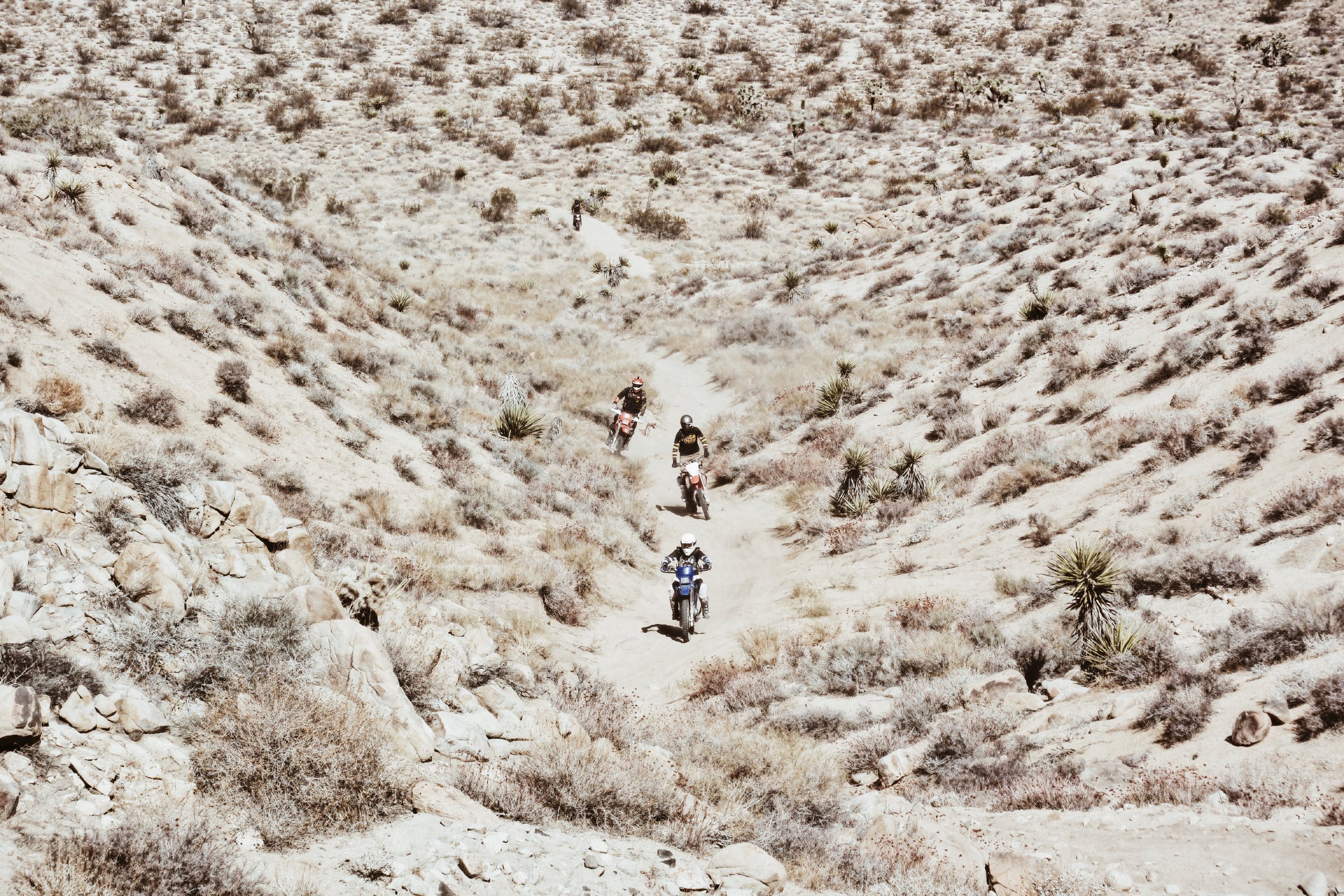 Johnson_Valley_OHV_WLF_Enduro_Moto-Mucci (8).JPG