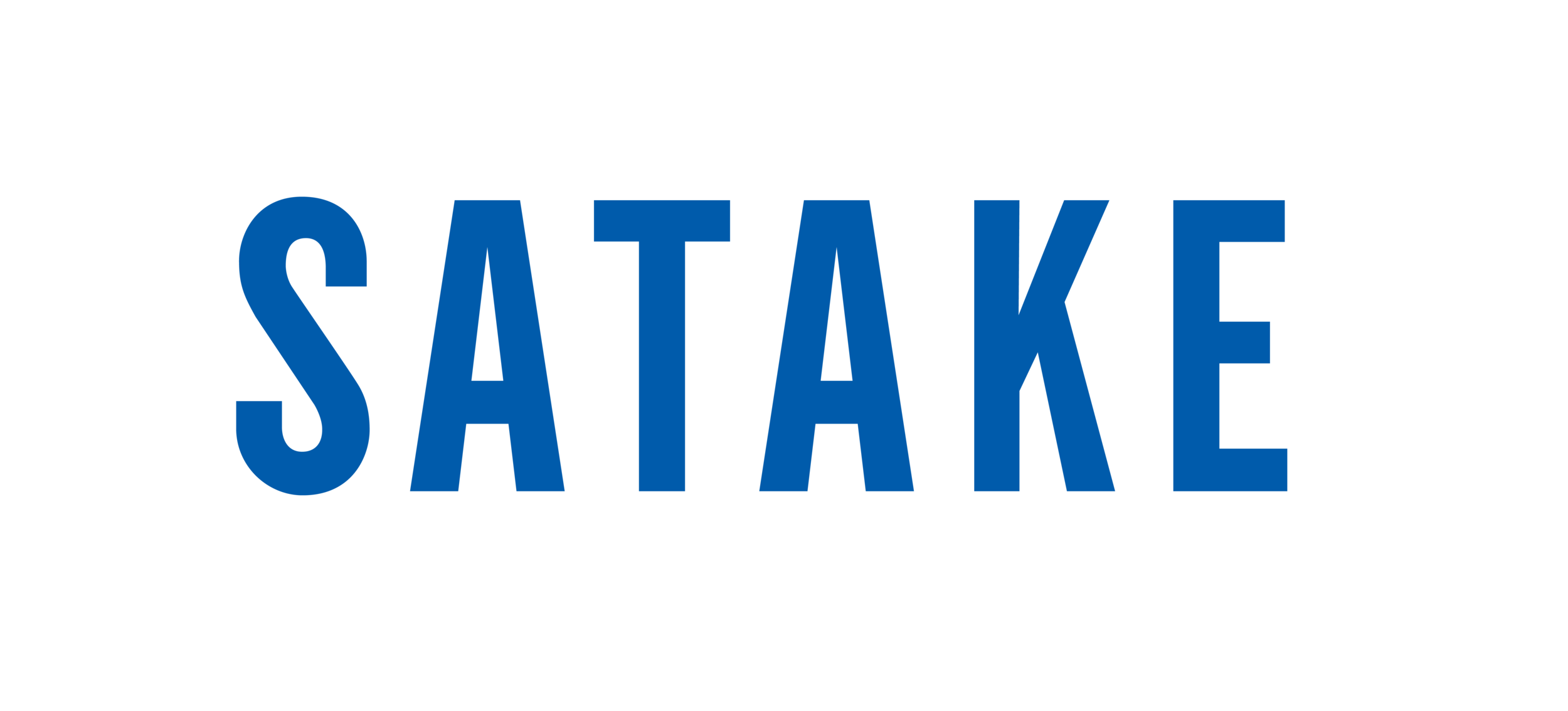 Satake-Logo-FINAL-300dpi_WithBorder.png