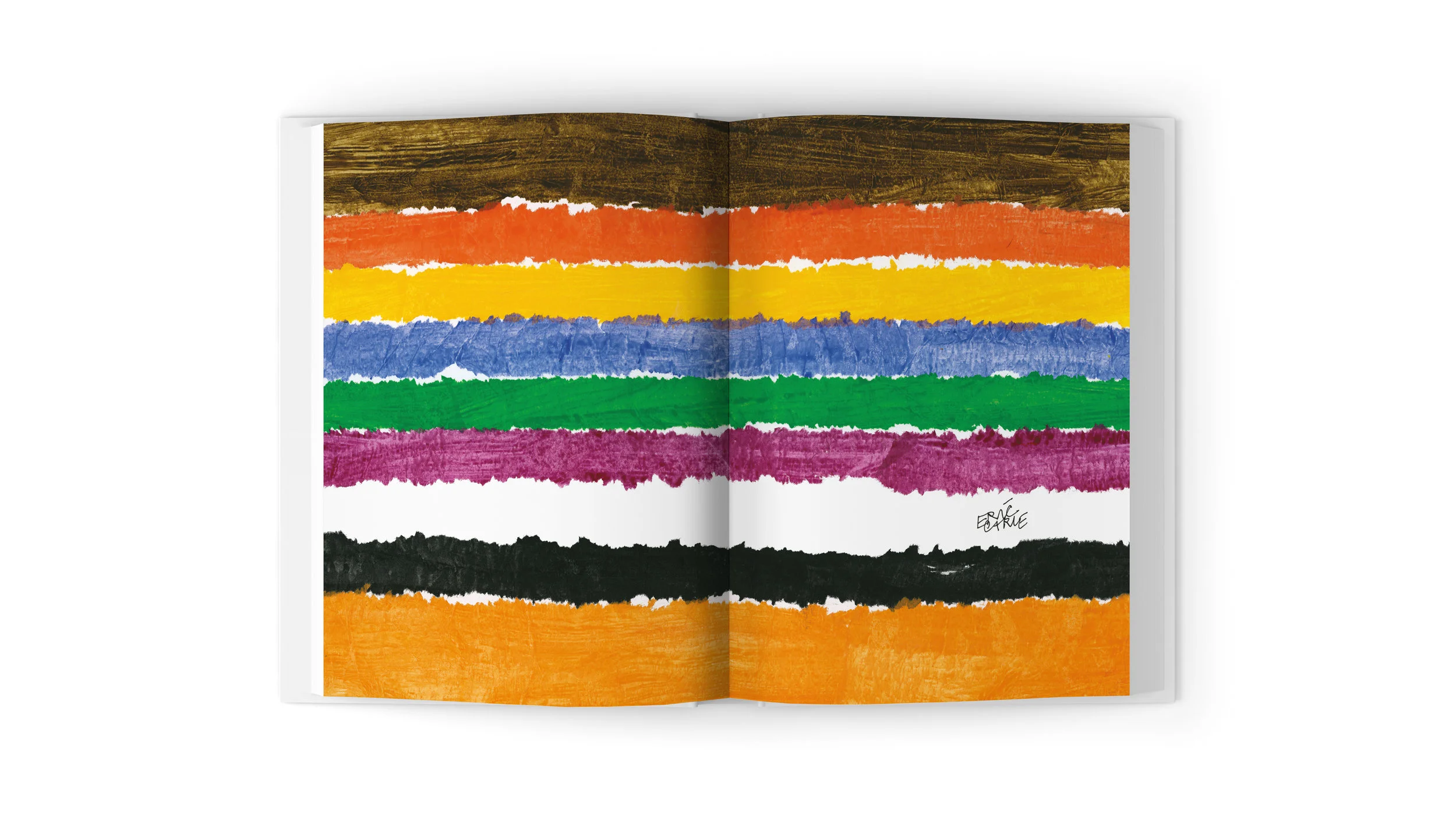 ChorionBrandGuidelines-EricCarle.jpg