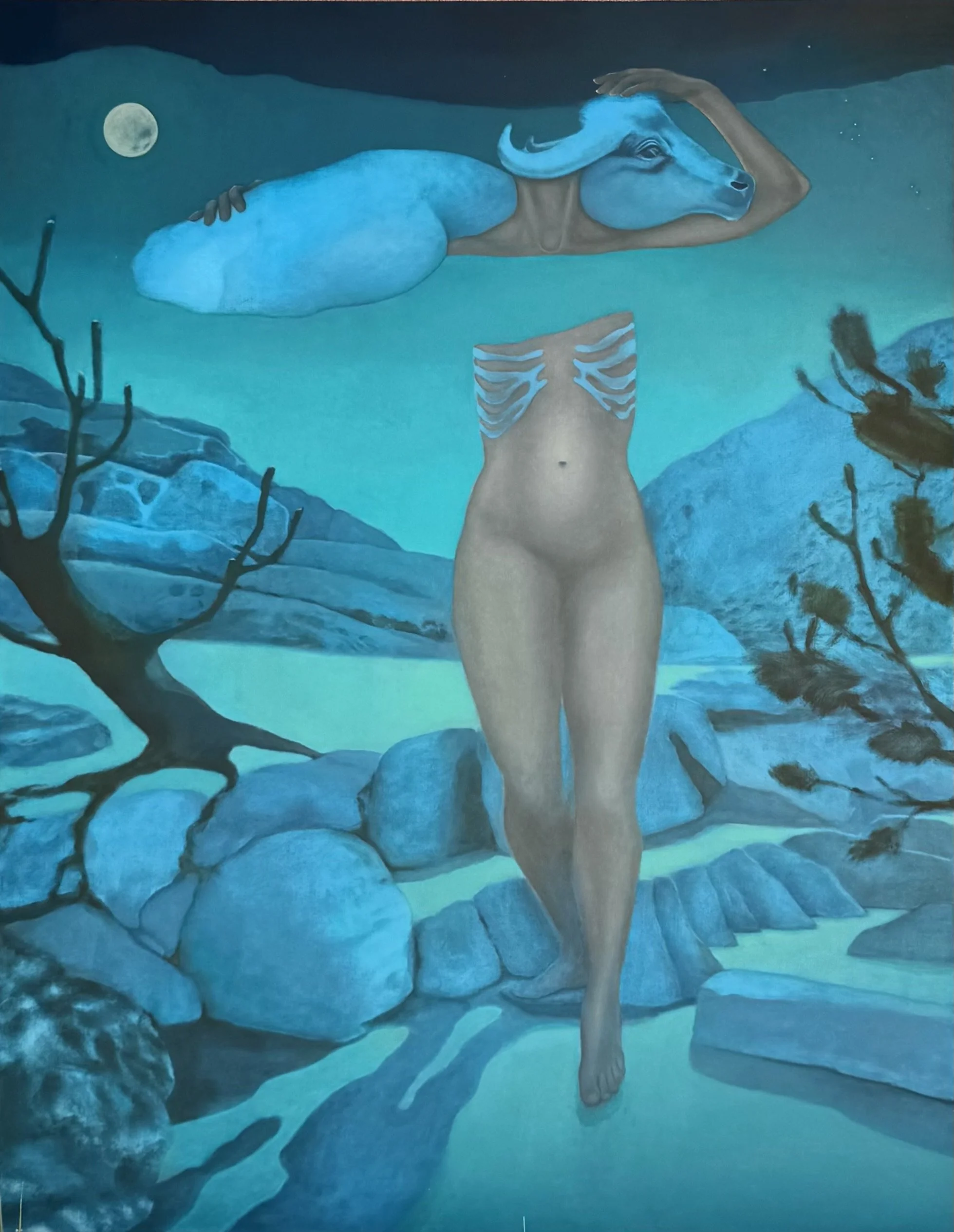  BULL TRANSCENDED  56 x 42  oil on linen  2026 