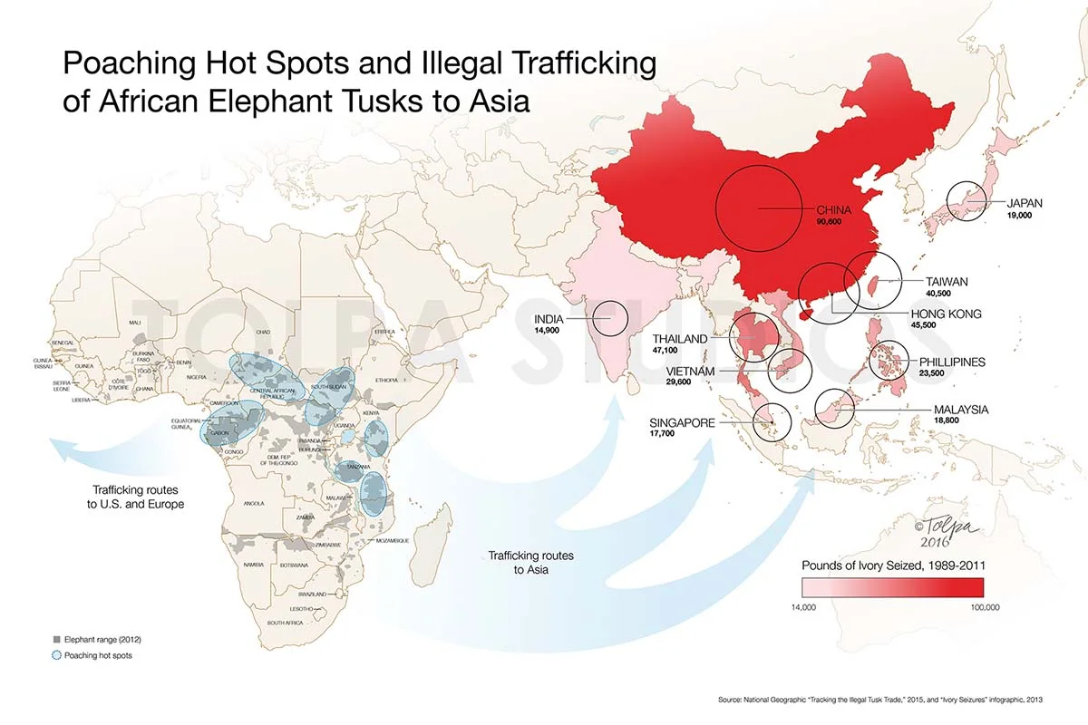 Poaching Hotspots Map