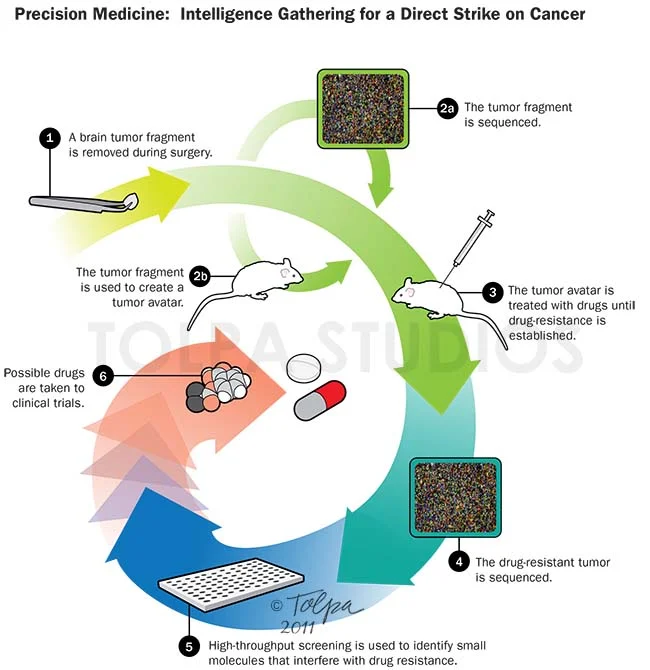 Precision Medicine