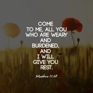 matthew1128.jpg