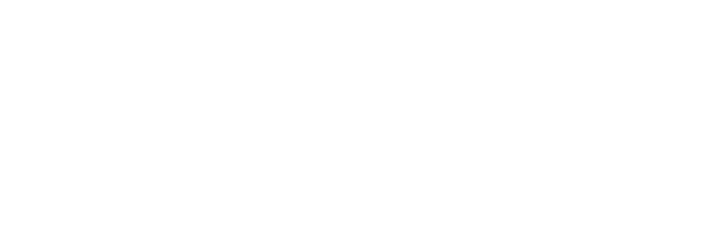 busweiser.png