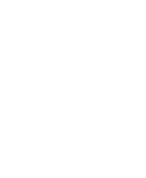 louis vuitton.png