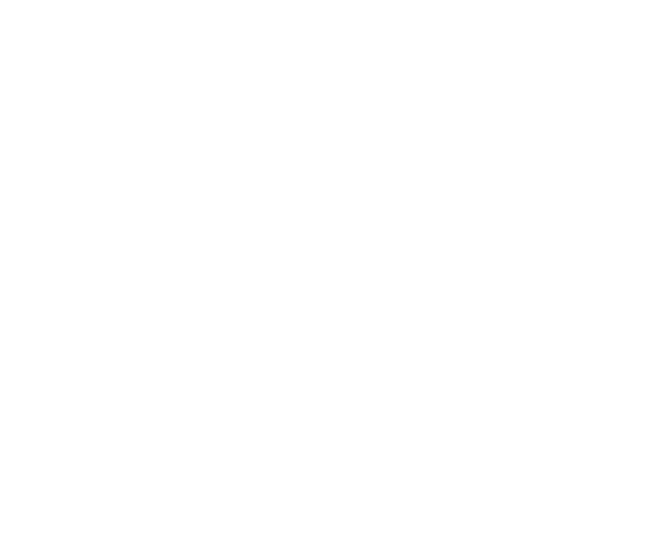 toyota.png