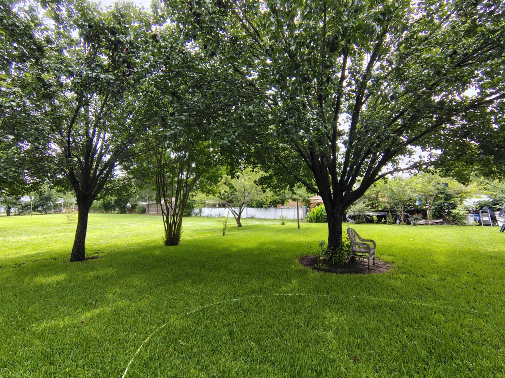 The Enemy in the Camp: Part 1