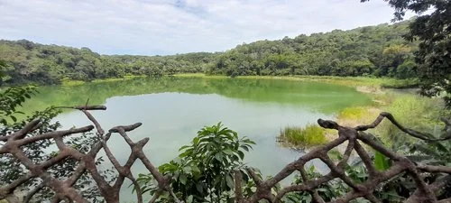      

 
   ¿Permanecerás firme?  ¿Te mantendrás firme ante el Señor, con tus manos extendidas?  ¿O vagarás sin rumbo por las tierras áridas?  ¿Te mantendrás firme en tu creencia cuando lleguen las tormentas de la vida?  ¿O te doblarás como un papel 
