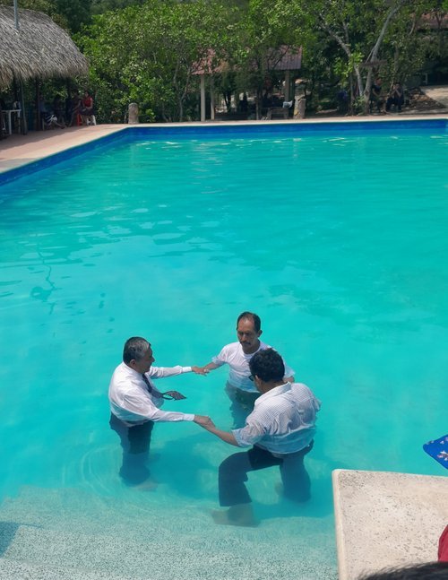 El enemigo en el campamento Parte 10: Alabanza o pánico