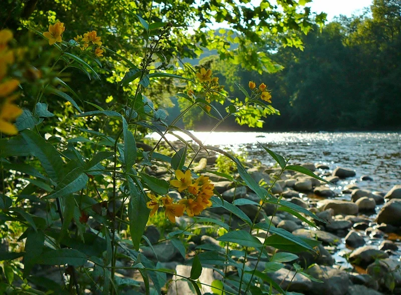 web-image-2013149.jpg