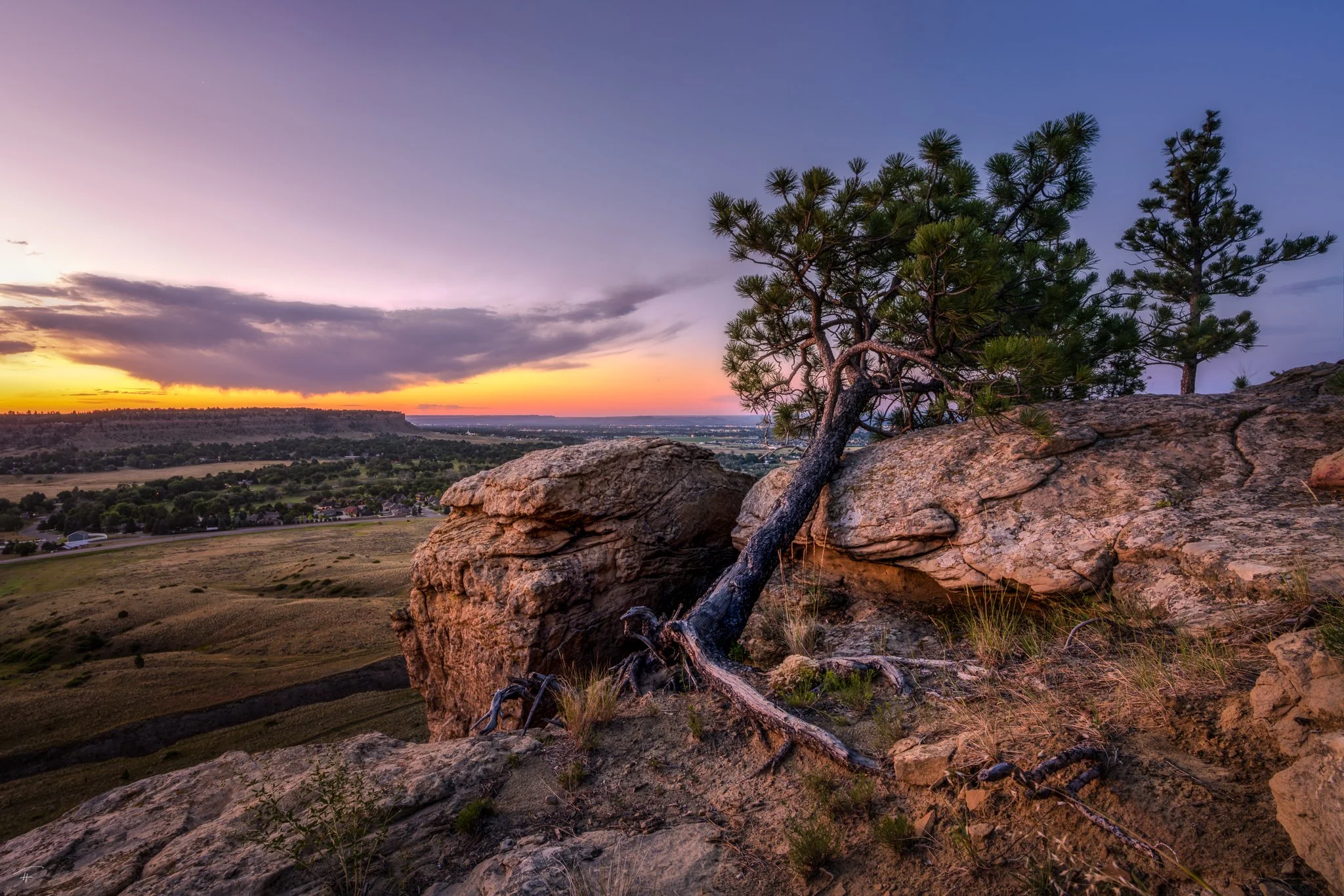 Clinging to Life.jpg