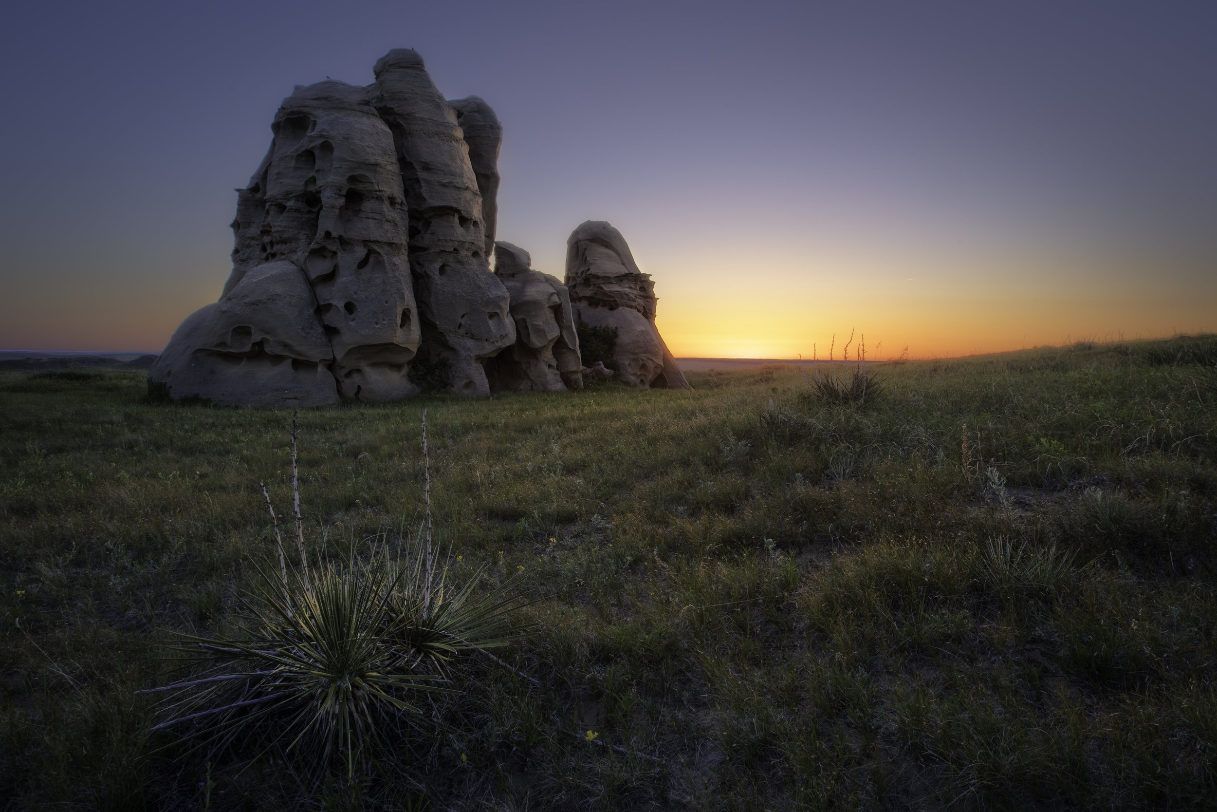 Alone on the Plains (Copy)