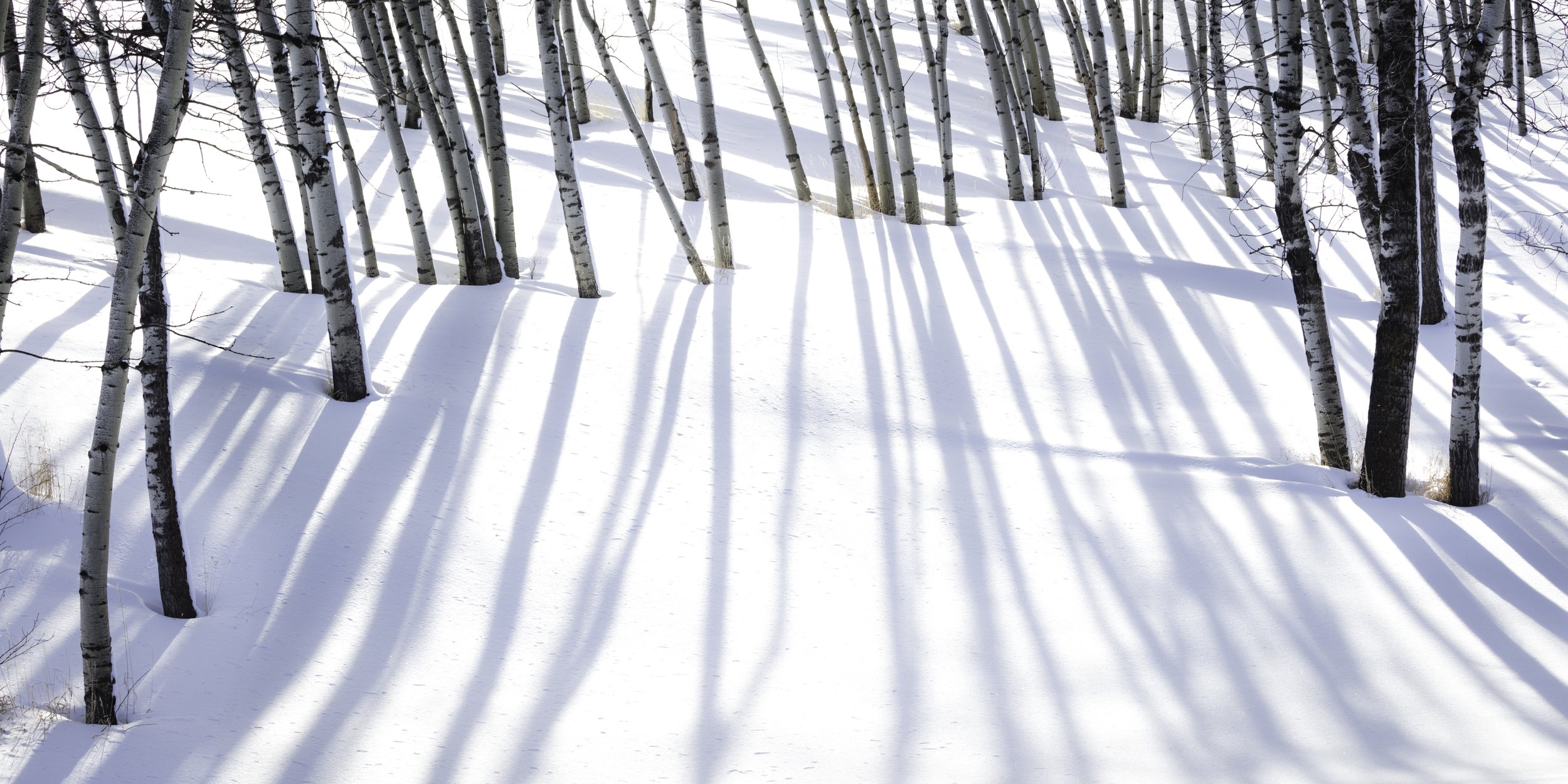 Winter Blanket (Copy)