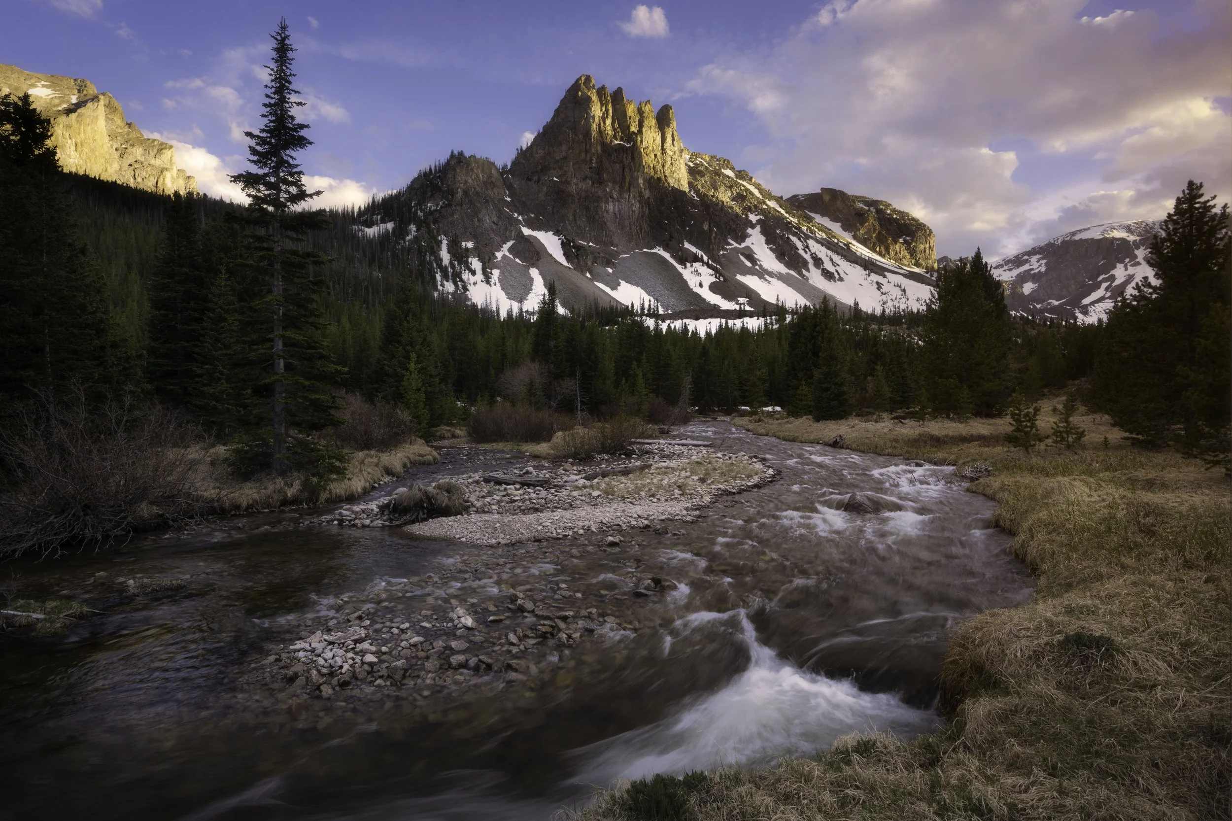 Wild Speak (Copy)