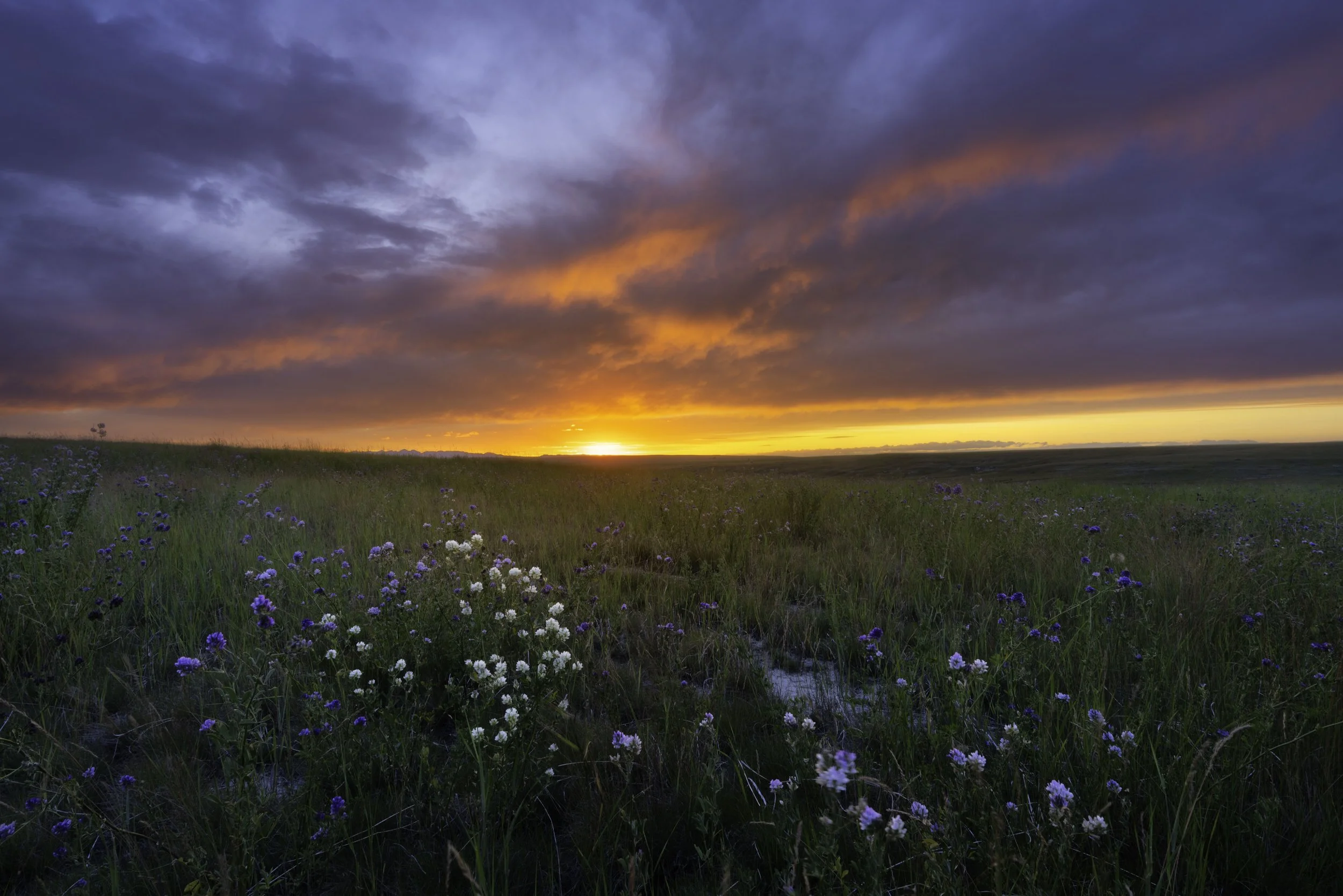 Big Sky Sundown (Copy)