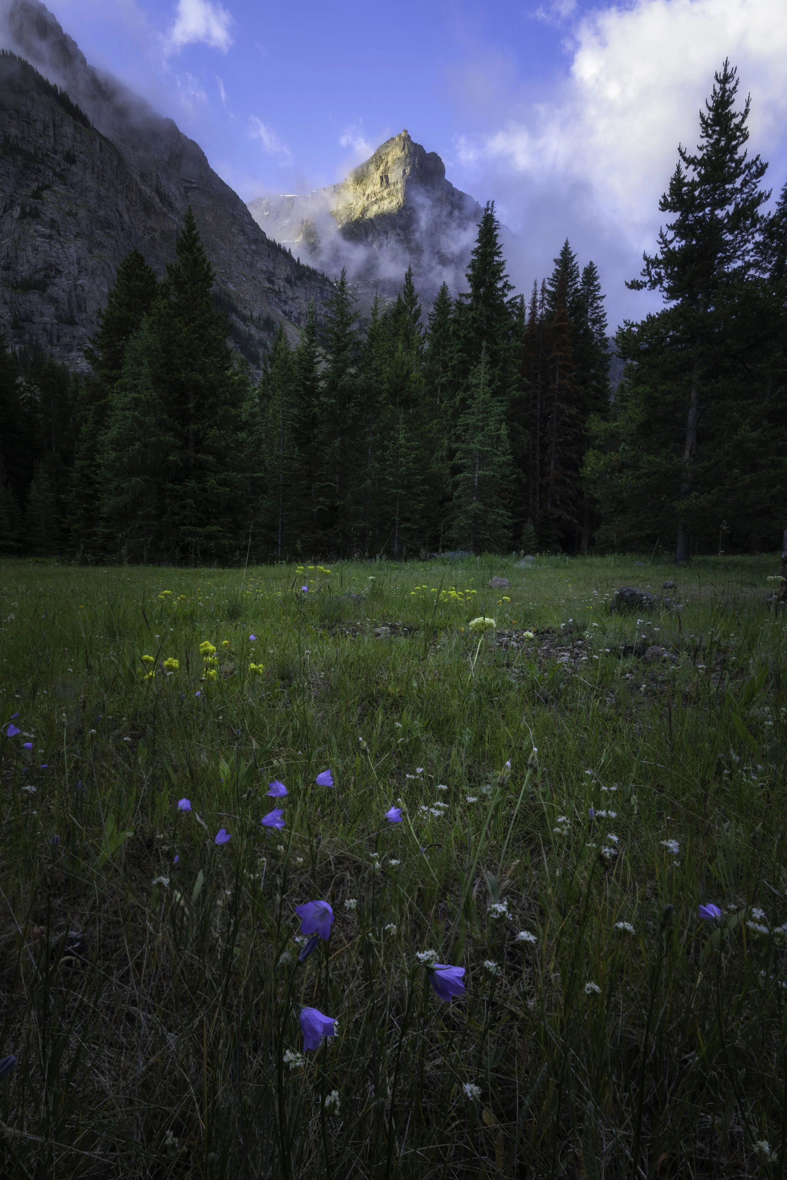 Breath of the Backcountry (Copy)