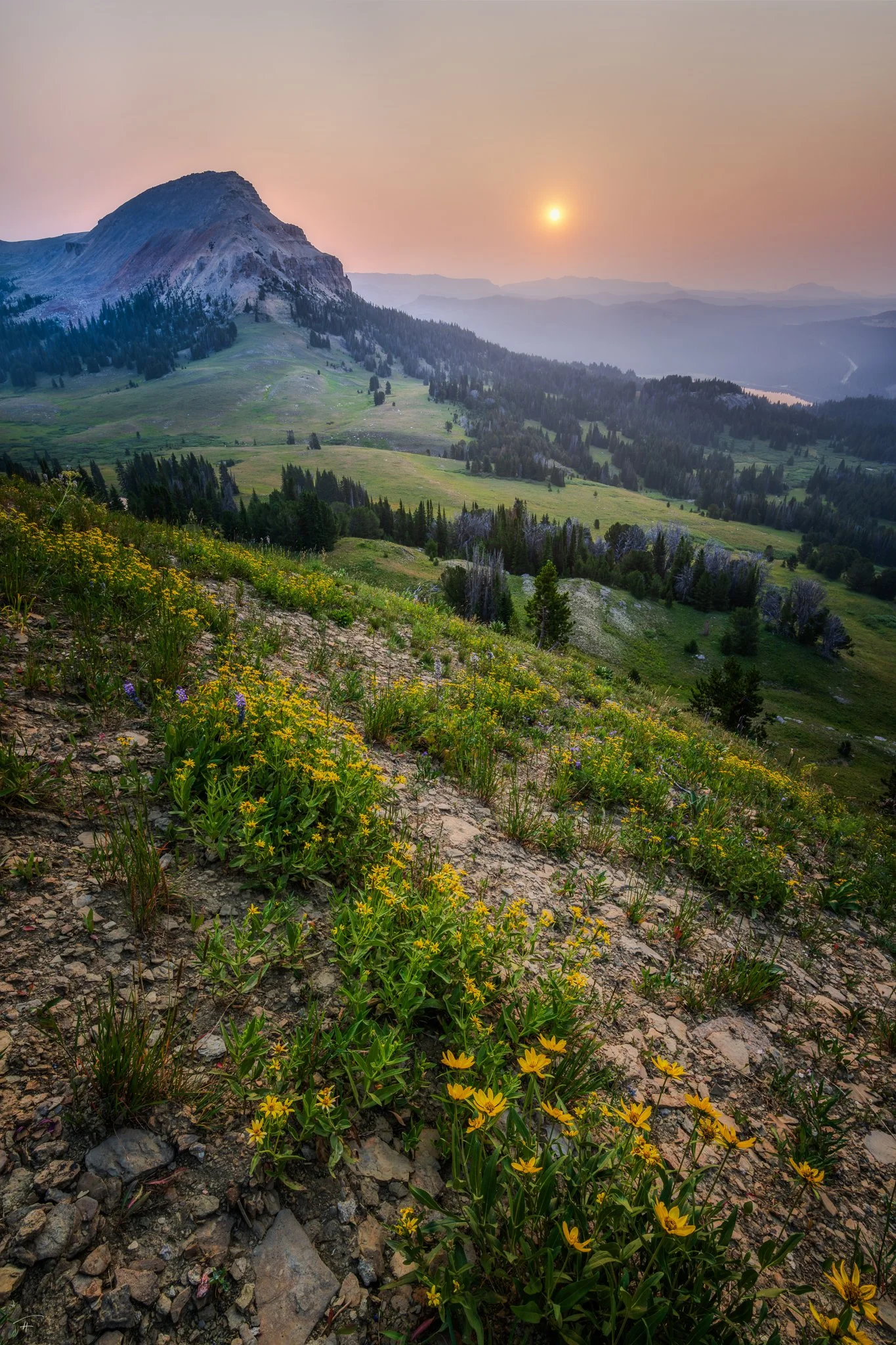 Smokey Sunrise.jpg