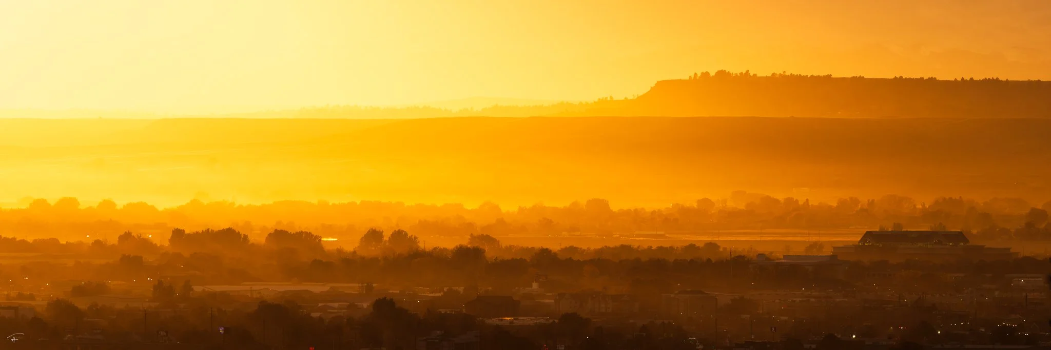 Sun Swallows City.jpg