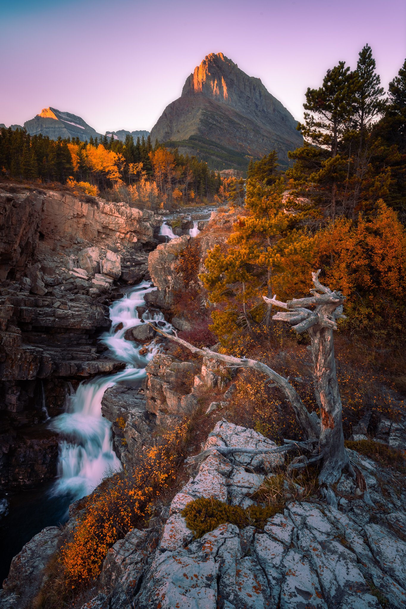 Autumn Awakening.jpg