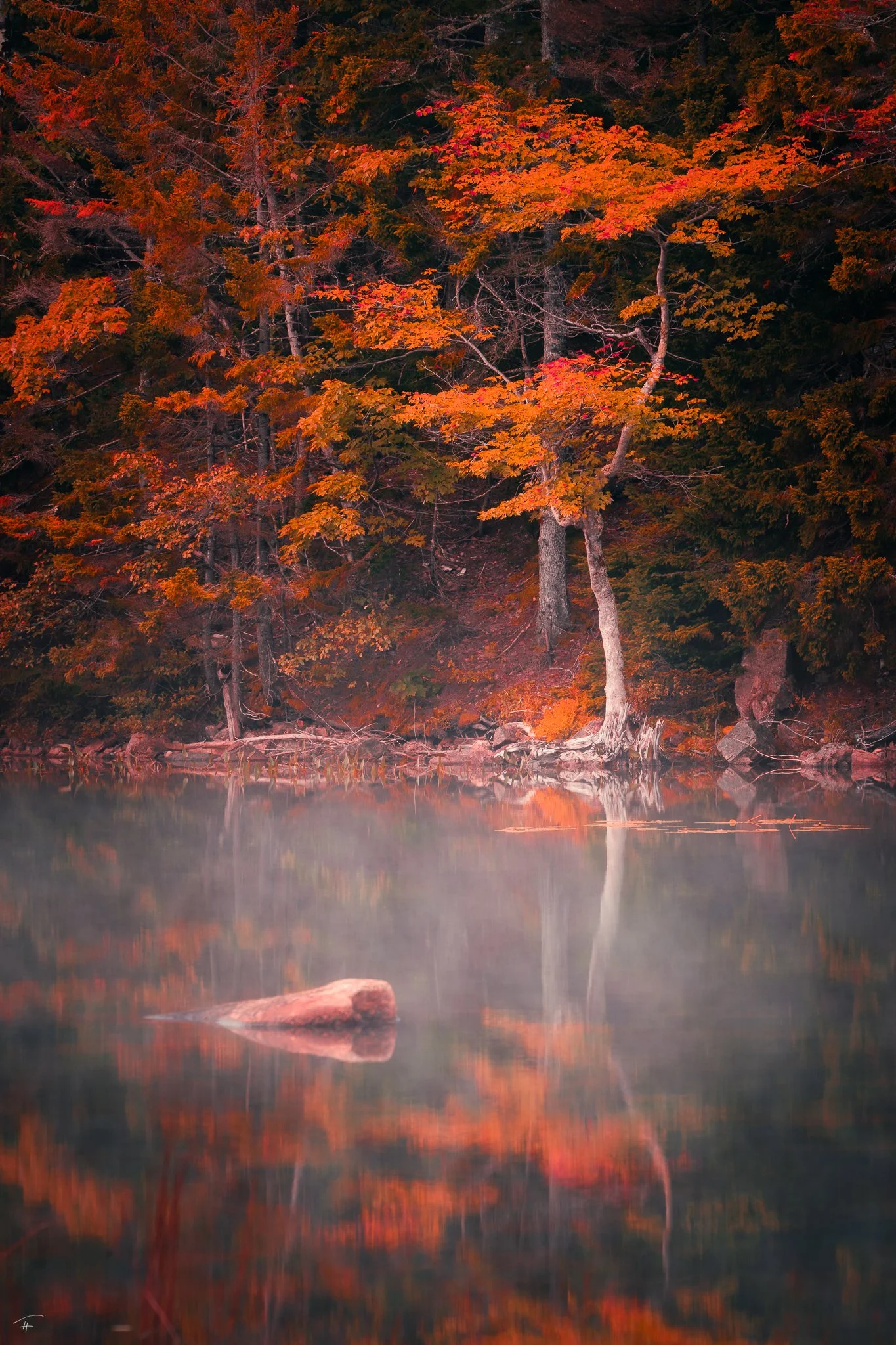 Long Established in Seclusion.jpg